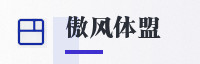 合作伙伴